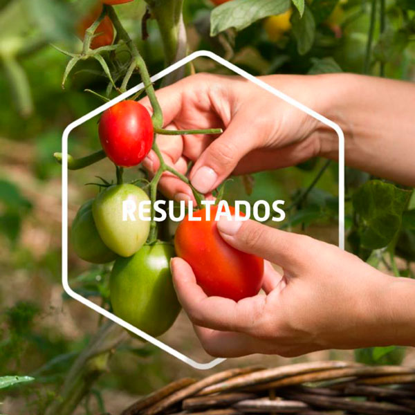 resultados agua de uso agricola tapani