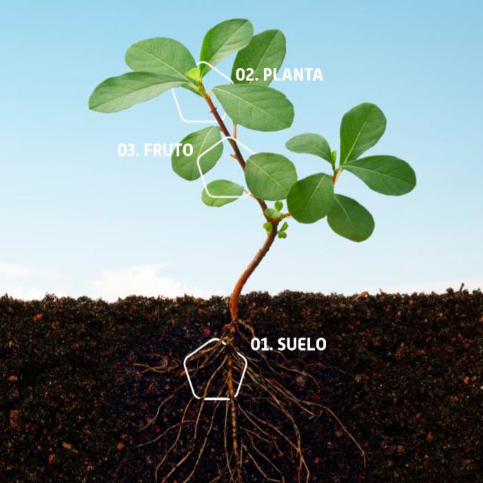 agua de uso agricola tapani